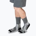 Kojinės X-Socks Run Expert Silk Merino Crew seal grey/light sand 6