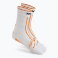 Bėgimo batai Buty X-Bionic Terraskin X00/C x white/x black 8