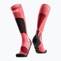 Slidinėjimo kojinės X-Socks Ski Discover Otc hot red