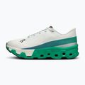 Vyriški bėgimo batai On Running Cloudmonster Hyper white/mint 2