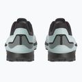 Moteriški turistiniai batai Dolomite Nibelia GTX mint green 11