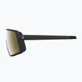 Akiniai nuo saulės SCOTT Torica LS black/amp ls gold chrome 3