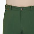 Vyriškos žygio kelnės Mammut Runbold woods 5