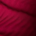 Mammut moteriška trekingo striukė Taiss Light ML blood red/marine 10