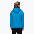 Vyriškas džemperis Mammut ML Hoody Logo glacier blue 2