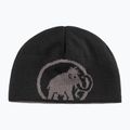 Žieminė kepurė Mammut Logo steel black 2