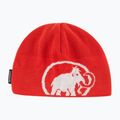 Žieminė kepurė Mammut Fleece mammut red / white