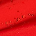 Vyriška striukė nuo lietaus Mammut Crater Light HS Hooded mammut red 3