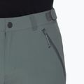 Vyriškos žygio kelnės Mammut Runbold IV Zip Off Regular strata 5