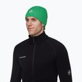 Žieminė kepurė Mammut Sublime pine 3