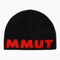 Žieminė kepurė Mammut Logo black 2