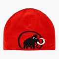 Žieminė kepurė Mammut Logo black 4