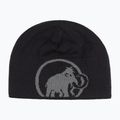 Žieminė kepurė Mammut Logo steel/black