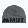 Žieminė kepurė Mammut Logo steel/black 2
