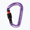 Karabinas Mammut Classic HMS Screwgate screw gate/alpine calamint