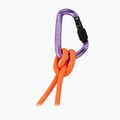 Karabinas Mammut Classic HMS Screwgate screw gate/alpine calamint 2
