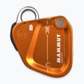 Savaros priemonė Mammut Assist Belay Resistor gold