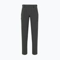 Vyriškos žygių kelnės Mammut Runbold IV Pants Men gabbro