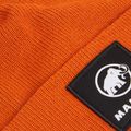 Žieminė kepurė Mammut Fedoz Beanie autumn larice 2