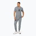 Vyriški marškinėliai super.natural Gogeanie Tee cashmere grey melange/dark shadow melange/vintage khaki melange 2