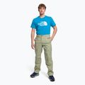 Vyriškos alpinistinės kelnės The North Face Routeset beige NF0A5J7Y3X31 2