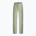 Vyriškos alpinistinės kelnės The North Face Routeset beige NF0A5J7Y3X31 7