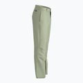 Vyriškos alpinistinės kelnės The North Face Routeset beige NF0A5J7Y3X31 9