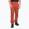 Vyriškos alpinistinės kelnės The North Face Project red NF0A5J7ZUBR1