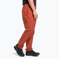 Vyriškos alpinistinės kelnės The North Face Project red NF0A5J7ZUBR1 3