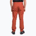 Vyriškos alpinistinės kelnės The North Face Project red NF0A5J7ZUBR1 4