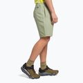 Vyriški alpinistiniai šortai The North Face Project beige NF0A5J8M3X31 3
