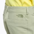 Vyriški alpinistiniai šortai The North Face Project beige NF0A5J8M3X31 6