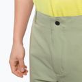 Vyriški alpinistiniai šortai The North Face Project beige NF0A5J8M3X31 7