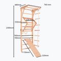 Gimnastikos kopėčios RINAGYM Kinder 3 10
