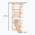 Gimnastikos kopėčios RINAGYM Sport 3 9