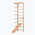 Gimnastikos kopėčios RINAGYM SPR B+SLIDE 3
