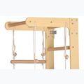 Gimnastikos kopėčios RINAGYM SPR B+SLIDE 6
