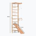 Gimnastikos kopėčios RINAGYM SPR B+SLIDE 10