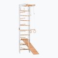 Gimnastikos kopėčios RINAGYM SPR B+SLIDE