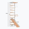 Gimnastikos kopėčios RINAGYM SPR B+SLIDE 2