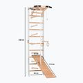 Gimnastikos kopėčios RINAGYM SPR A+SLIDE 2