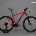 Kellys Spider 50 29" kalnų dviratis raudonas 72170 16