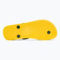 Vyriškos šlepetės per pirštą Ipanema Clas Brasil II AD yellow/green 4