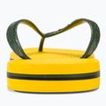 Vyriškos šlepetės per pirštą Ipanema Clas Brasil II AD yellow/green 6