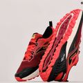 Joma vyriški bėgimo bateliai Tk.Rase 2220 red TKRASW2220D 14