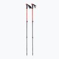 Treko lazdos Black Diamond Trail Sport Trek octane 2