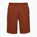 Vyriški šortai Black Diamond Sierra burnt sienna 4