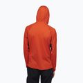 Vyriški trekingo džemperiai Black Diamond Alpenglow Pro Hoody acetate 2