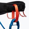 Vyriški laipiojimo diržai Momentum kingfisher 4