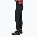 Moteriškos kelnės Black Diamonds Technician Jogger black 3